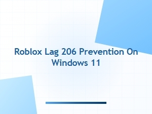 How to Prevent Roblox Lag 206 on Windows 11